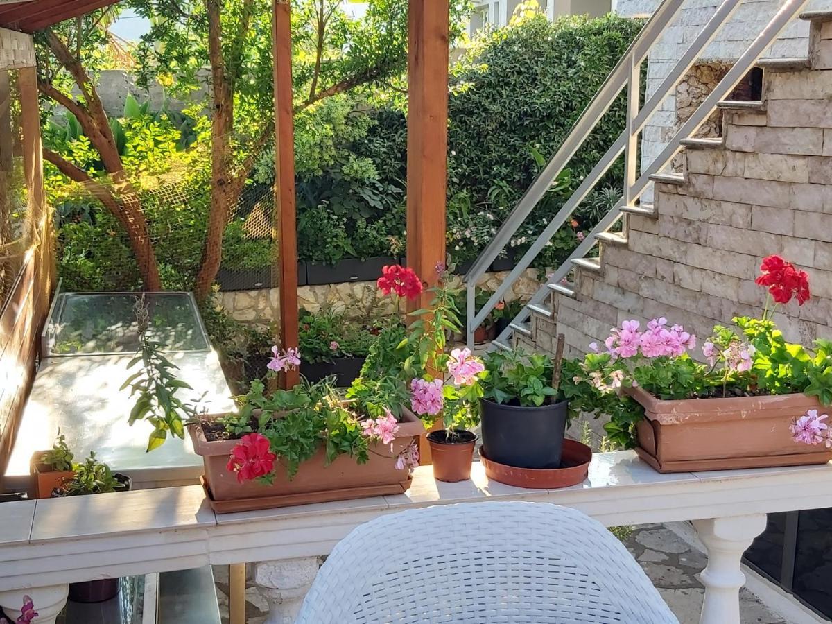 Vila Blu 3* Himara