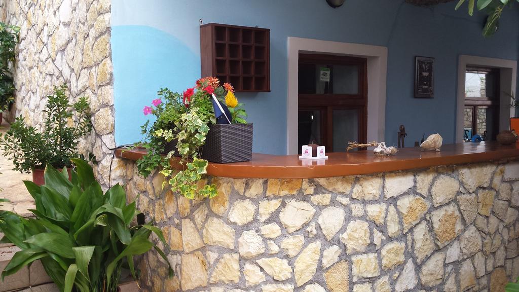 Vila Blu Nocleg ze śniadaniem 3*
